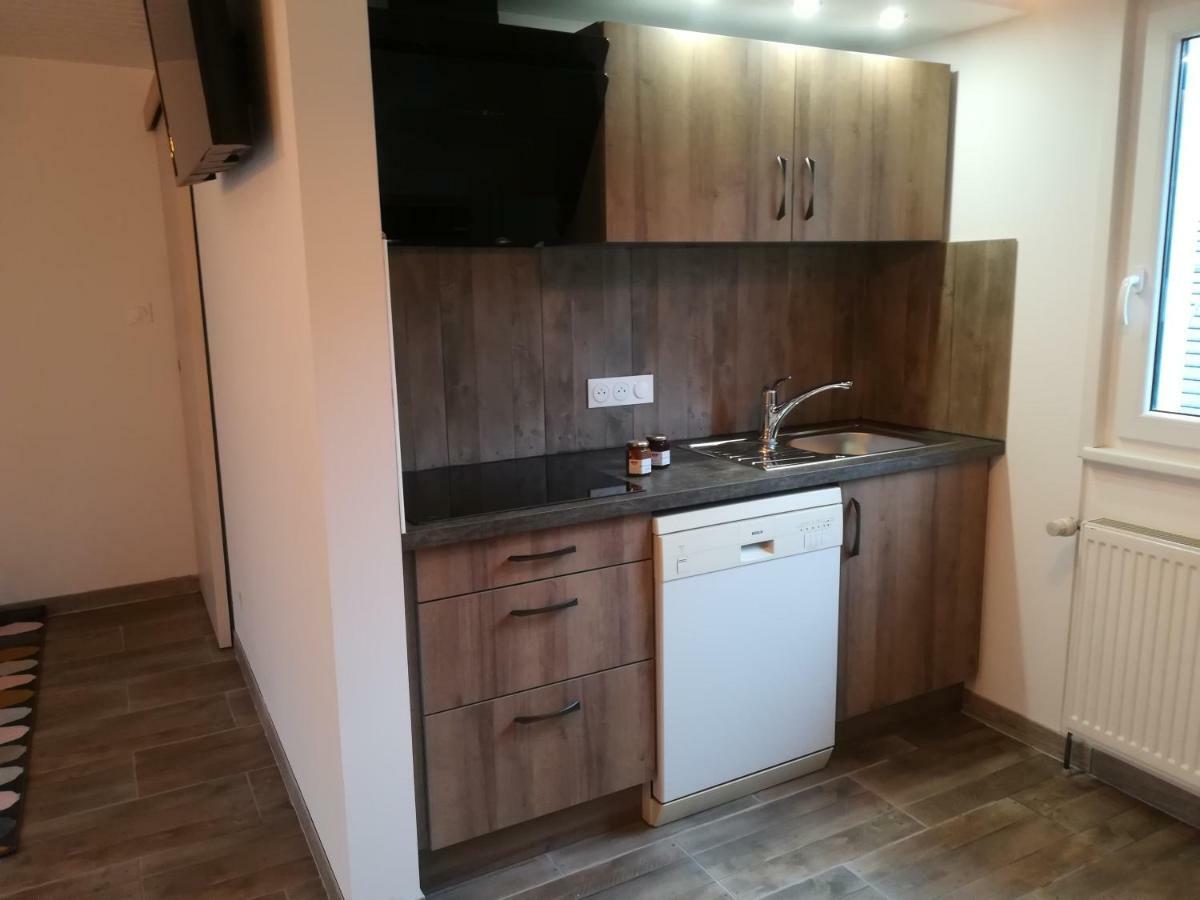 The Primeveres Home - Spa Sainte-Marie-aux-Mines Ngoại thất bức ảnh